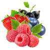 Mixed Berries